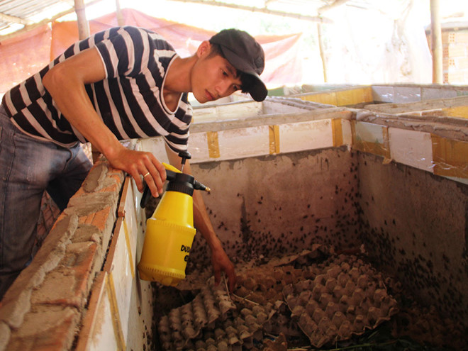 Khởi nghiệp từ 'sinh vật lạ'