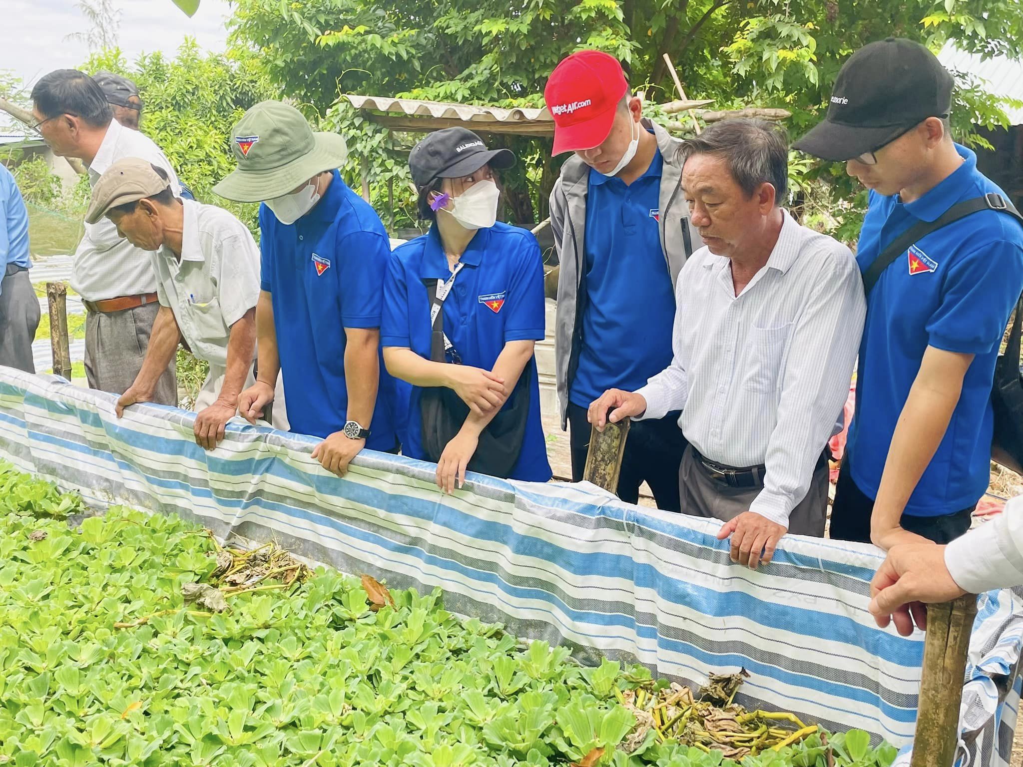 QUẬN ĐOÀN - HỘI LHTN VIỆT NAM QUẬN NGŨ HÀNH SƠN DUY TRÌ HIỆU QUẢ MÔ HÌNH TRỒNG NẤM VÀ PHÁT TRIỂN THÊM MÔ HÌNH KINH TẾ TẬP THỂ THANH NIÊN NUÔI ỐC BƯU ĐEN NĂM 2023